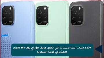 5200 جنيه.. إليك الأسباب التي تجعل هاتف هواوي نوفا Y61 الخيار الأمثل في فئته السعرية